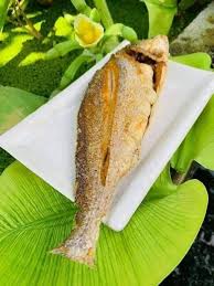 Cá Sửu 1 Nắng Campuchia