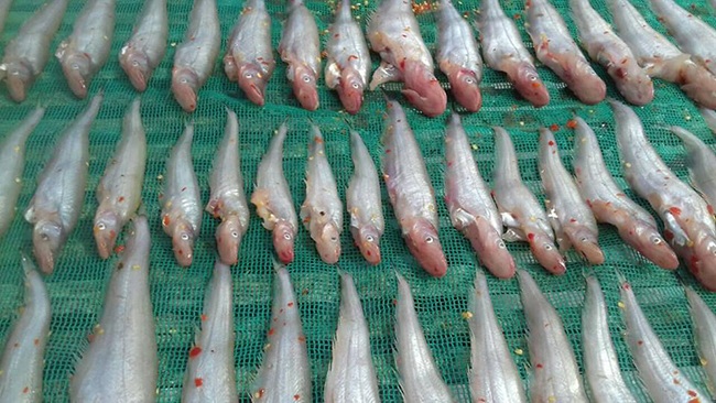 Khô Trèn