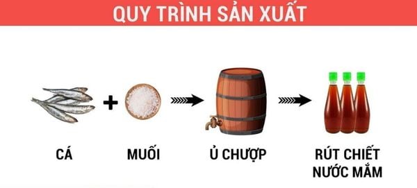 Nước Mắm Cốt Nhĩ Phan Thiết