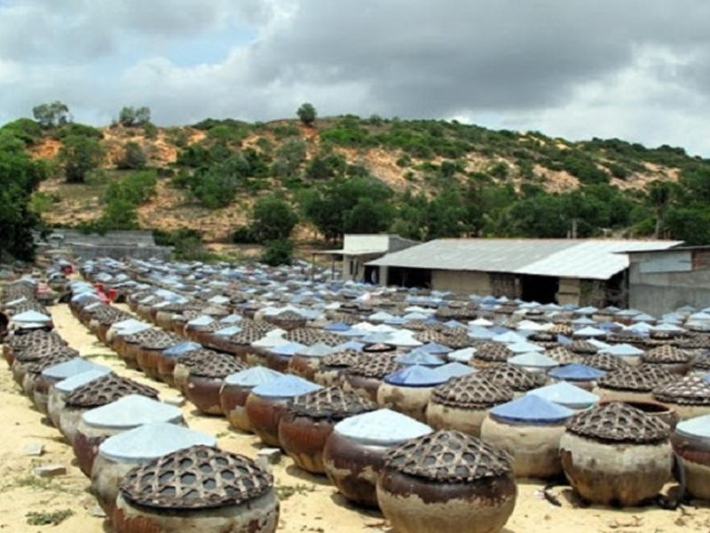 Nước Mắm Nhĩ Phan Thiết. Quy Trình Cách Phân Biệt Hàng Thật